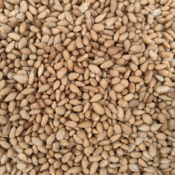 100kg/h Capacity SUS304 Peanut Coating Machine For Low Noise Non-Pollution And Easy To Clean Nut Processing