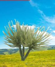 Buy cheap fake Thorn ball,model tree,miniature artifical tree arm,acanthosphere,fake tree truck,landscape tree arms product