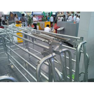 Power Coated Finishing Pig Gestation Crates With Stainless Steel Feeder