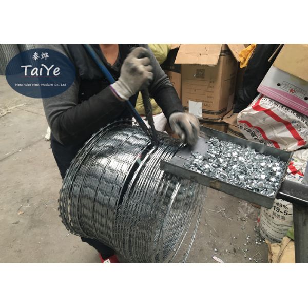 Cross Concertina BTO 22 Razor Wire Outside Diameter 900mm Razor Wire Coil