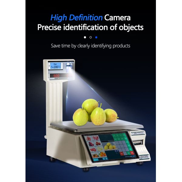 Maximum Range 30kg Intelligent Bar Code Table Scale SHW-TMF6 with 10/7 Inch Display