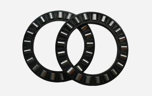 Thrust Roller Bearing with Flat Seat