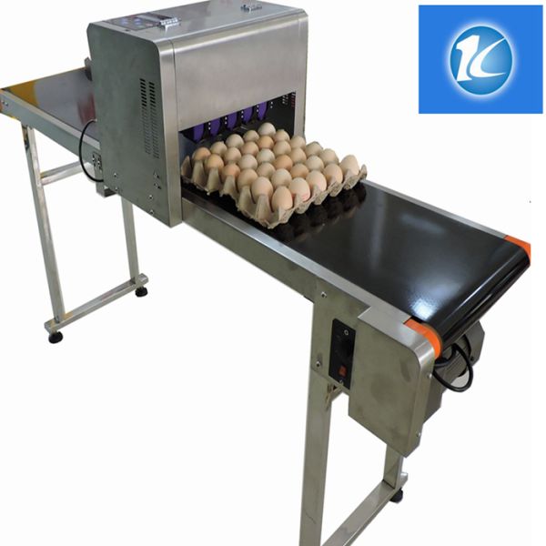Professional Egg Stamping Machine Laser Batch Coding Machine 600dpi Resolution