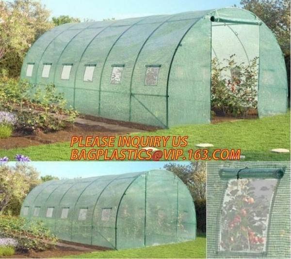 Quality polycarbonate plastic sheet agricultural mini garden green house,plastic walk in dome garden green house, SUPPLIES, PAC for sale