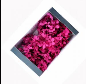 Buy cheap Preserved Flowers/Preserved Rose/ Preserved Carnation/Preserved Moss etc product