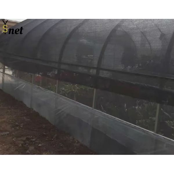 120GSM Anti UV Shade Net Horticulture 80 Percent Shade Net 2*100m