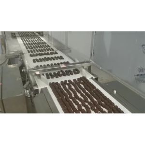 TIANHE Chicken Bouillon Cube 10g Powder Rotary Tablet Press Machine