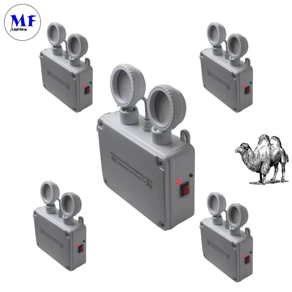 Factory Price Li-Battery Twins Double Heads IP65 Waterproof Industry Basement School Hospital Subway Supermarket Airport Escape LED Emergency Exit Light