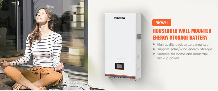 Visench Photovoltaic inverter and energy storage integrated machine with 51.2V 160AH LiFePO4 Lithium Ion MPPT solat inverters