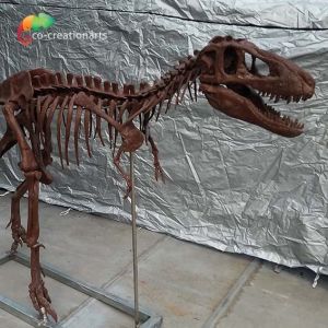 Buy cheap Personalized customization Dinosaur Bone Replicas T Rex Skull Replica product