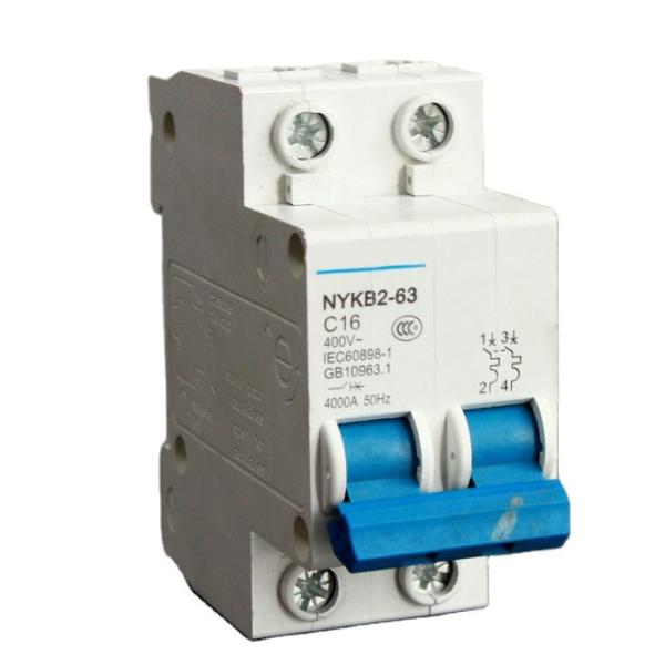 Quality Micro circuit breaker 230V/400V 2Poles Electrical switch  DZ47 for sale