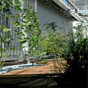 Buy cheap Class A Inox Flexible Cable Mesh For Climbing Plant product