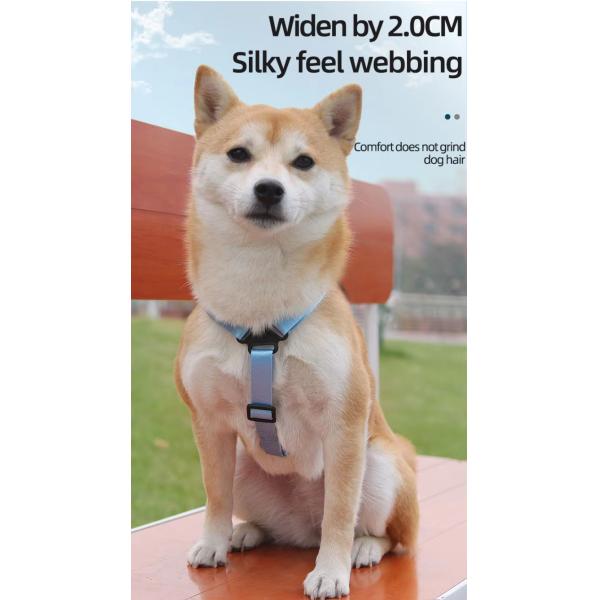 Colorful Small Dog Backpack Harness Adjustable Pet Harness Backpack With Traction Rope