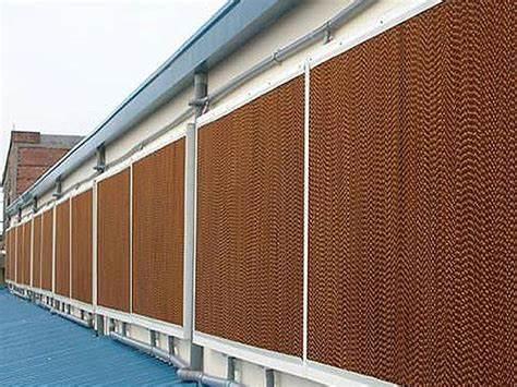 Shipping Container Greenhouse for Leafy Vegetables