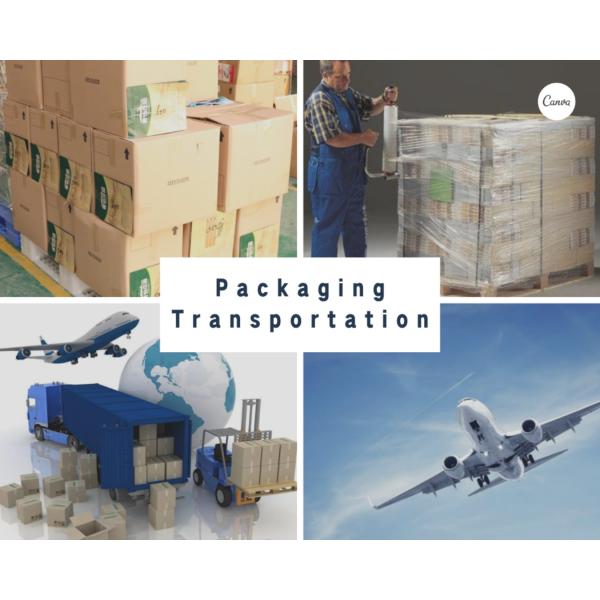 Transparent PE Padded With Bubble Zip Bags Precious Jewelry Travelling Pocket Customized Size