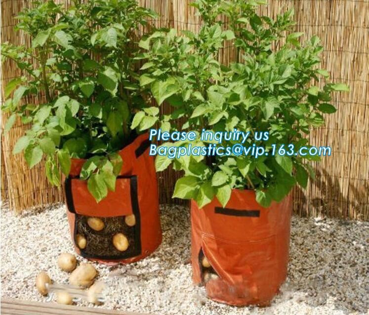 customized waterproof green pe car protector,environmental firendly, car boot liner, reusable, durable,economical,sample