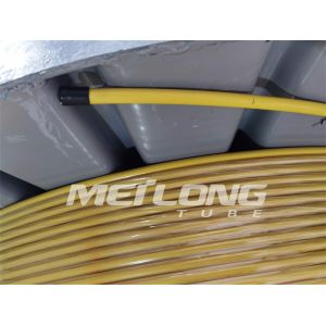 PVDF Encapsulated Control Line Duplex Stainless Steel Capillary Tubing