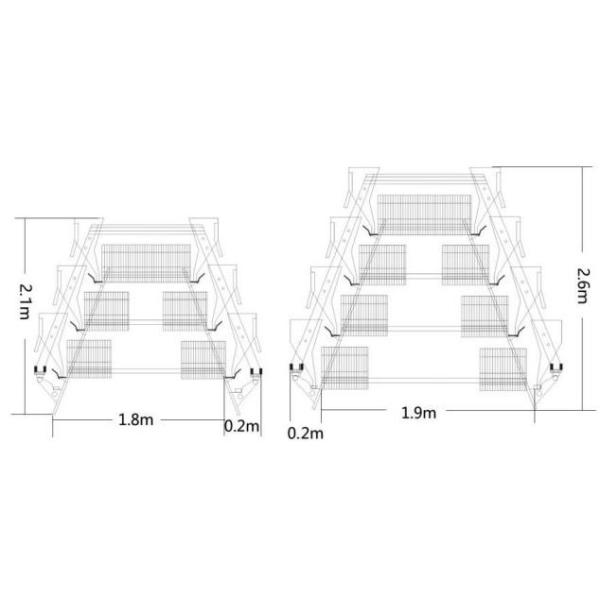 A Type Layer Rearing Broiler Chicken Cage System Fully Automated