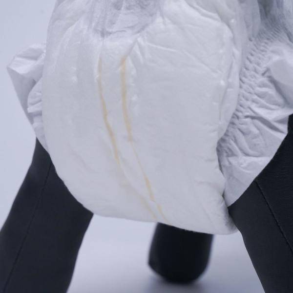 Disposable Pet Cat Puppy Pee Diapers Female Dog Diapers For Urine Customized