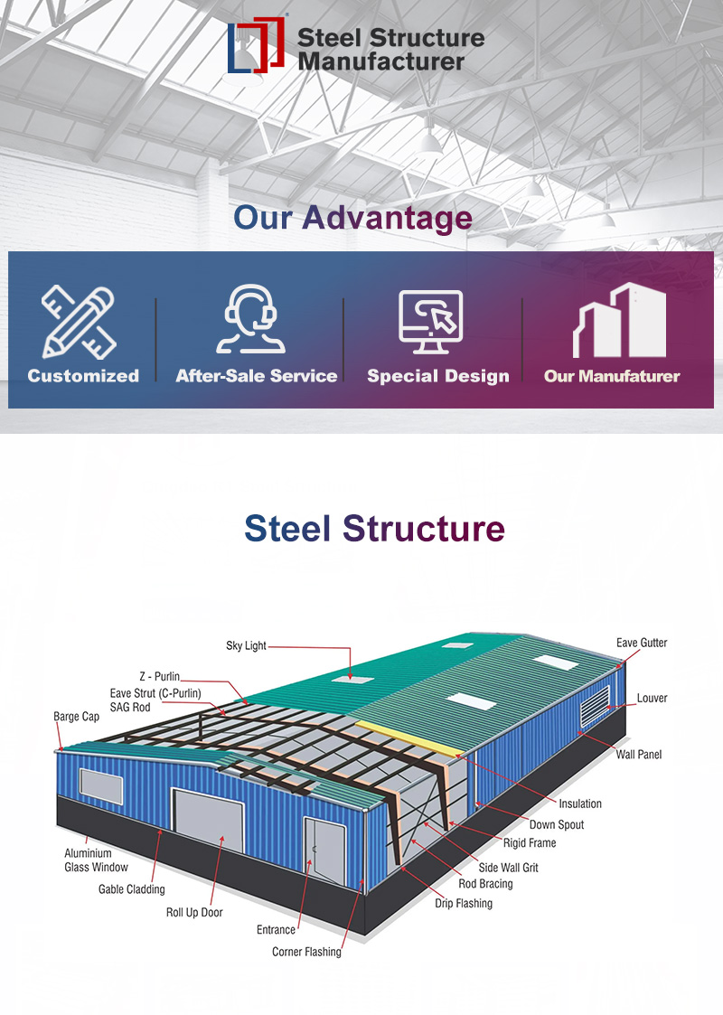 Modern Lightweight Metal Frame Building Poultry Farm Structure