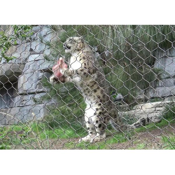 Quality SS 304 Wire Rope Mesh For Lion Enclosure Mesh for sale