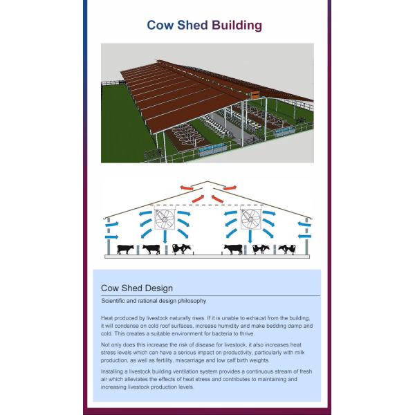 Weatherproof Prefabricated Steel Frame Farm Building Poultry House Easy Install