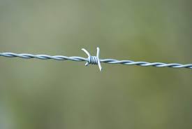 Newest Design Top Quality Electro Galvanized Barbed Wire Anti-climbing Barrier Barbed Wire Use For Protection
