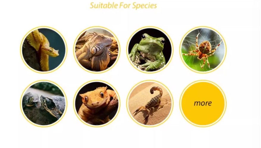 PU Material Reptile Rock Hide Nature Look Corrosion Resistant For Snake