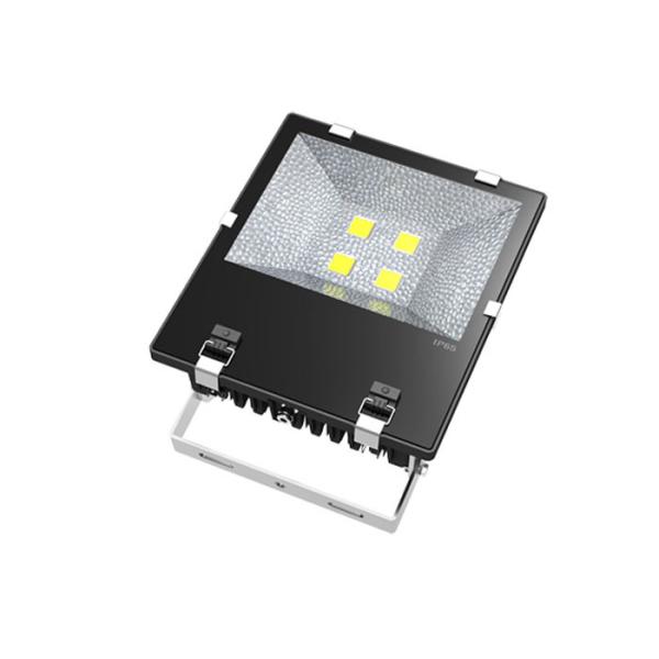 Flip Chip High Lumen Led Flood Light COB Cool White Outdoor Ip65 Waterproof 150w