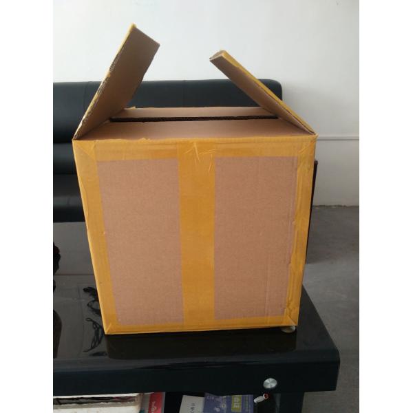 48pcs Different Prepared Plastic Microscope Slides for Homeschool Education