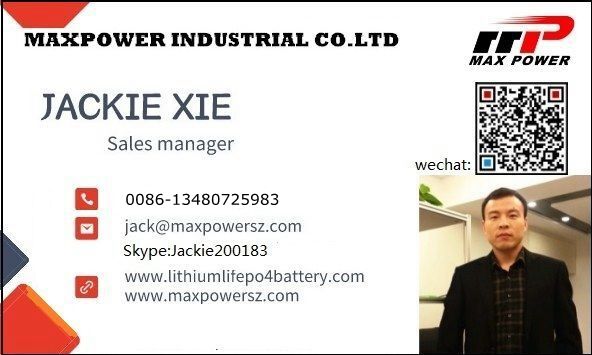 GPS Tracker 18650 2000mAh 3.7V Lithium Ion Batteries High Te 85℃ BIS IEC2133 CB