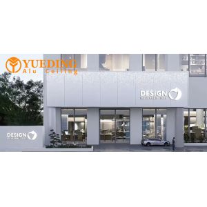 Custom Modern Aluminum Curtain Wall Panels Structure Curved Facade Cladding