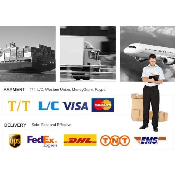 GYXTC8S Self Support Armored Fiber Optic Cable 12 Core Figure 8 For Duct / Aerial