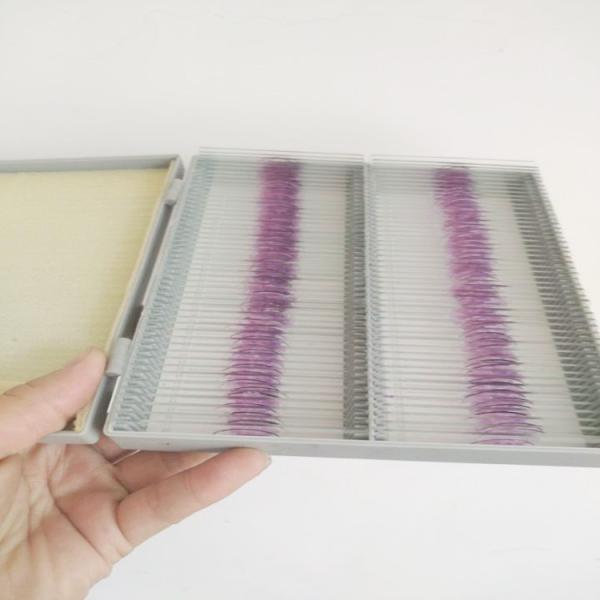 College Students Glass 132pcs ODM Plant Microscope Slides