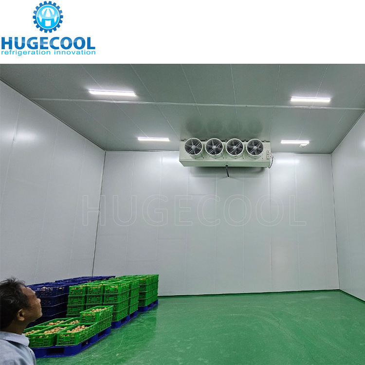 -40&ordm; C~+10&ordm; C Walk in Refrigeration Freezer Chiller Room Cold Storage for Frozen Meat