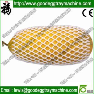 EPE Foam Fruit Net Extruder (FCEPEW-75 )