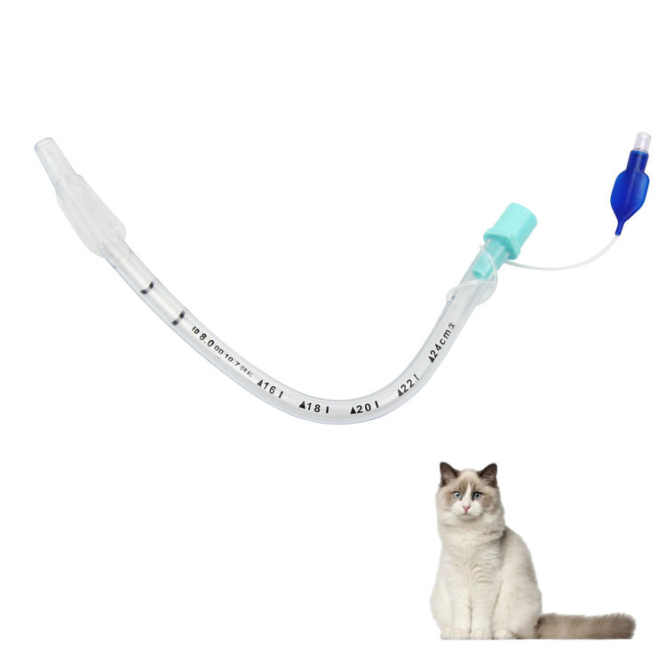 Veterinary Airway Management – Cuffed & Uncuffed Reinforced Endotracheal Tubes
