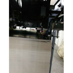 Automatic Die-Cutting and Creasing Machine with Stripping Station