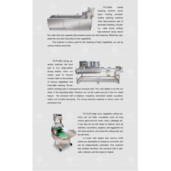 Industrial Fruit And Vegetable Processing Line Brush Bubble Cleaning Drying Selection And Cutting