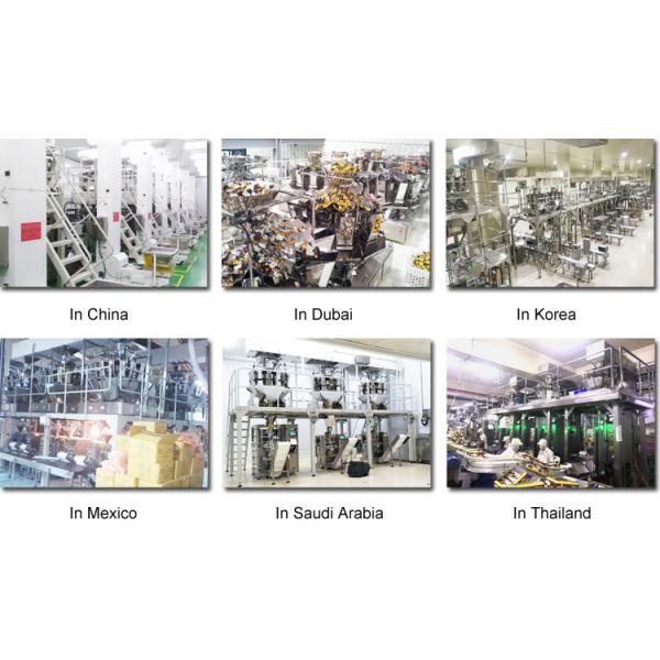 Powder Milk 300g 500g Pillow Bag Packing Machine Sealing High Accuracy