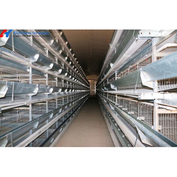 4 Tiers Layer Battery Cage Poultry Farming Battery Cage System