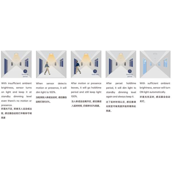 Wireless Microwave IP65 BLE Motion Sensor With Bluetooth DC Input