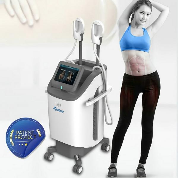 Quality slim High-Intensity Focused Electro-Magnetic slimming beauty for sale