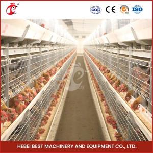 China Hot Galvanized Broiler Transport Cage Silver Color Durable Reliable Mia on sale