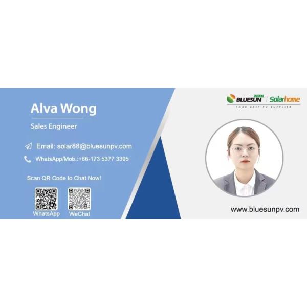 Bluesun Best Hjt 550watt 585watt 600watt Solar Panel Solar Panel 5000w Solar Home Kit Solar Panels Manufacturer