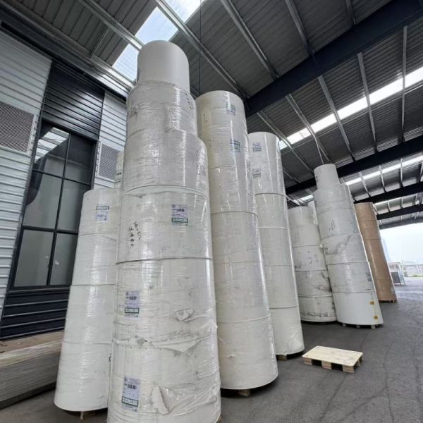 FSC Packaging Custom Print Double PE Logo Coated Printed Paper Cup Roll Raw Material for Paper Cups