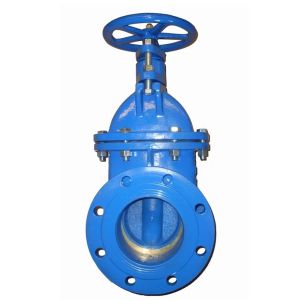 BS3464 PN10 GG25 cast iron gate valve