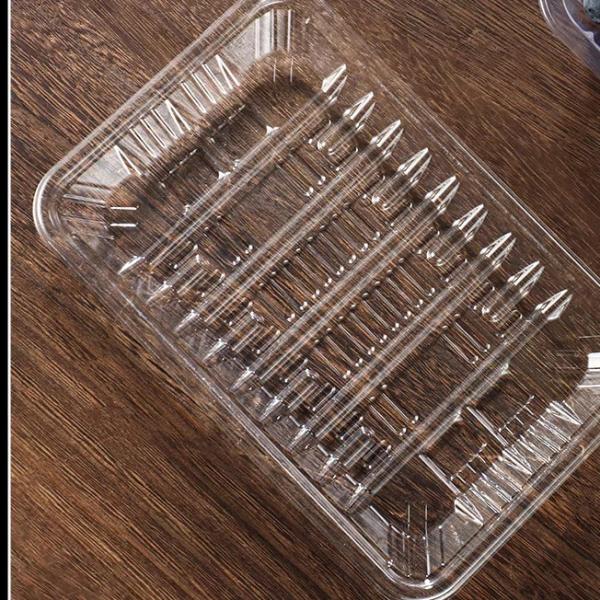 Supermarket PET Blister Frozen Food Tray Food Grade Disposable Meat Tray