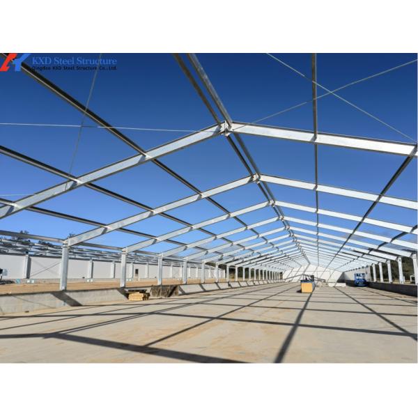 Easy Install Piggery Shed Onsite Installation Steel Structure Piggery House