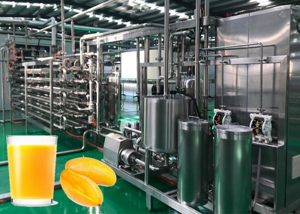 Quality Industrial Scale Mango Fruit Processing Line Fully Automatic 1 Year Warranty for sale